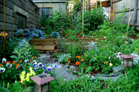 2008 Garden Contest